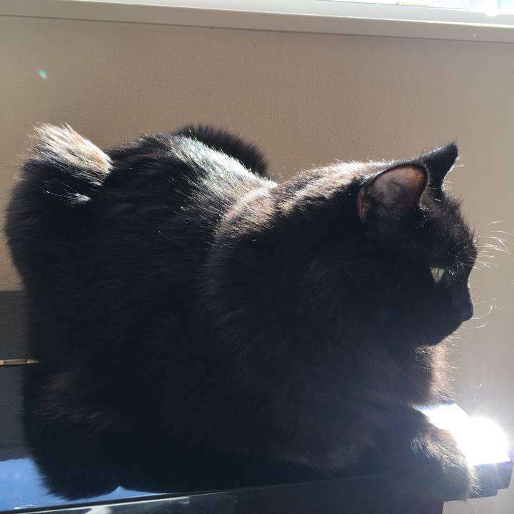 Ea689bda a6fc 4184 b78f 58ee0f99ad9f 1572345672333