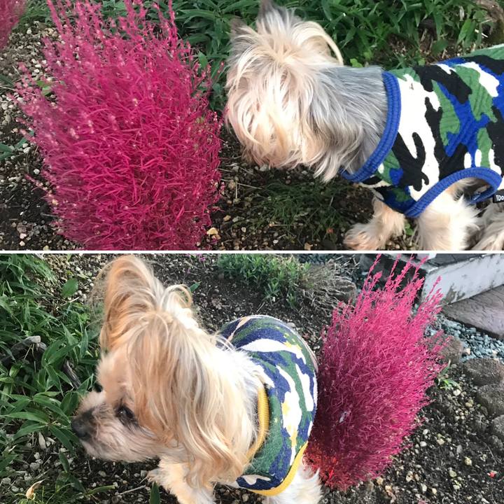 Ea68aa6a 1215 4021 abb0 92ec3c55fb7e 1697104622319