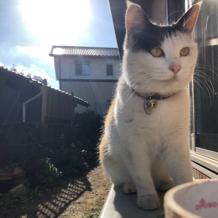 Ea68b7a7 0f9d 403b b885 c109d4040df4 1608968427651