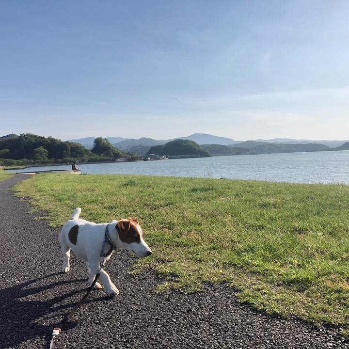 Ea68c3a4 adf6 4c20 b965 a39865c81d9d 1557043128765