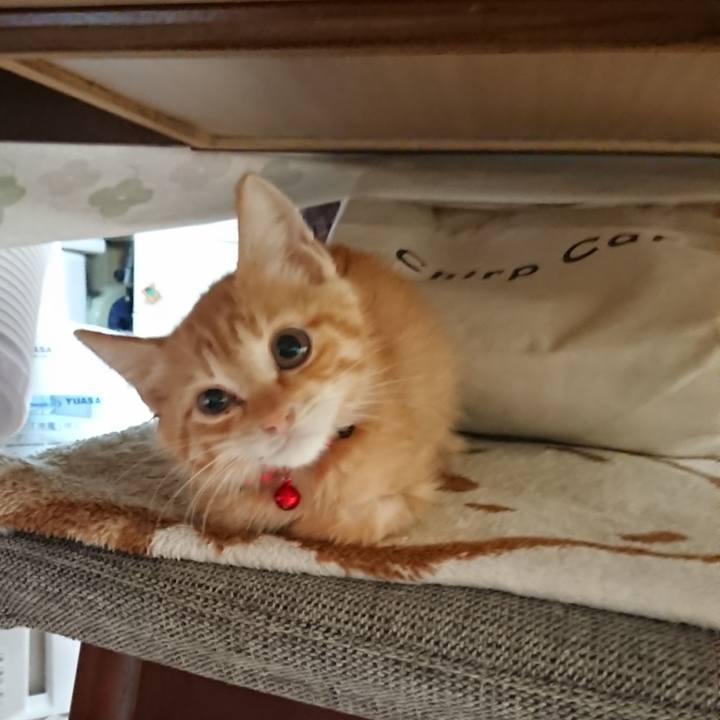 Ea68ccfd 779e 4d25 b098 14775f55ad23 1628718957774