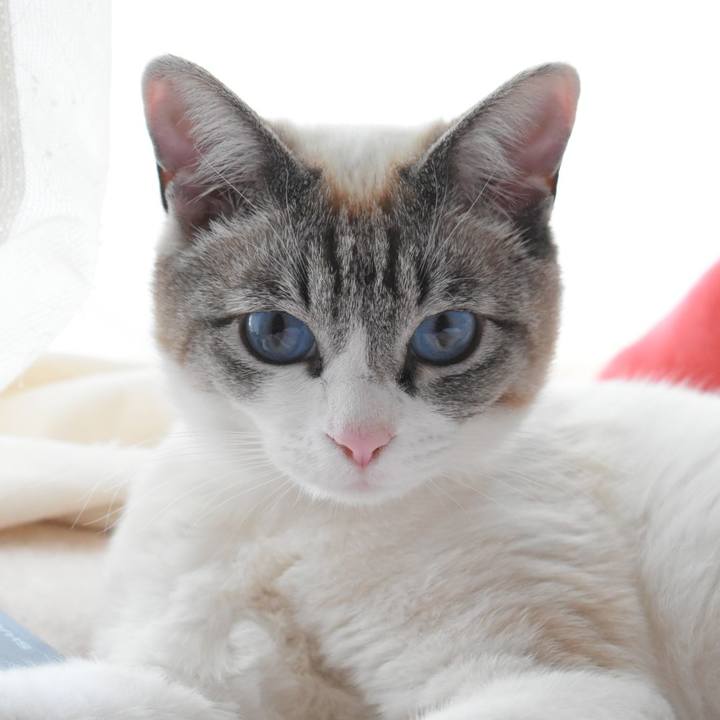 Ea68d851 4607 462f b875 7231a9cf6d70 1524305249445