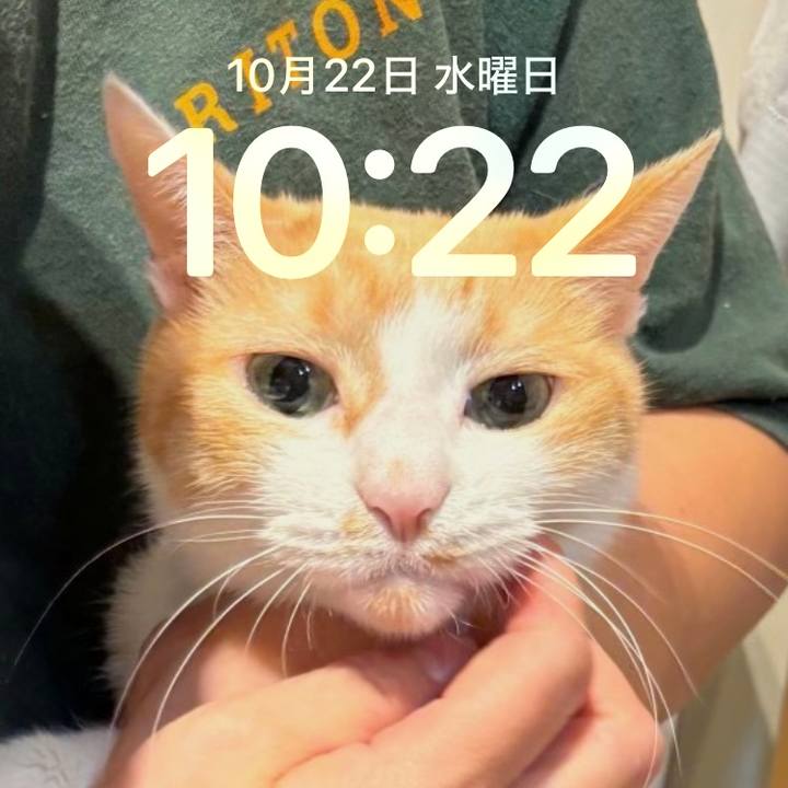 Ea68e831 3c30 447d 8bf9 e91b0711182a 1761096166147