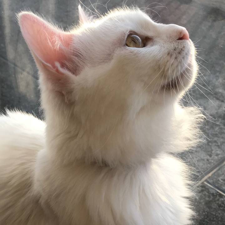 Ea68f18d fb86 4fd5 9846 de79f8fde355 1525006989564