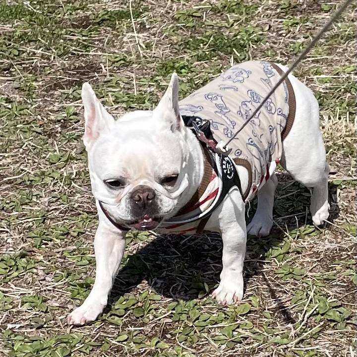 Ea694d7c 57f2 47d1 9eb8 4729cb6550f2 1742456388363