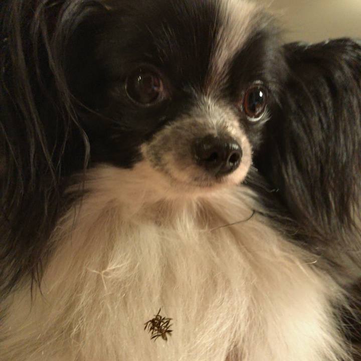 Ea69574d 11ba 45c9 834a eadb8879aa6c 1539094204068