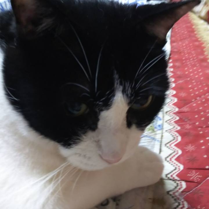 Ea69742d e0fd 47f6 ad65 2577f43aca29 1566942819544