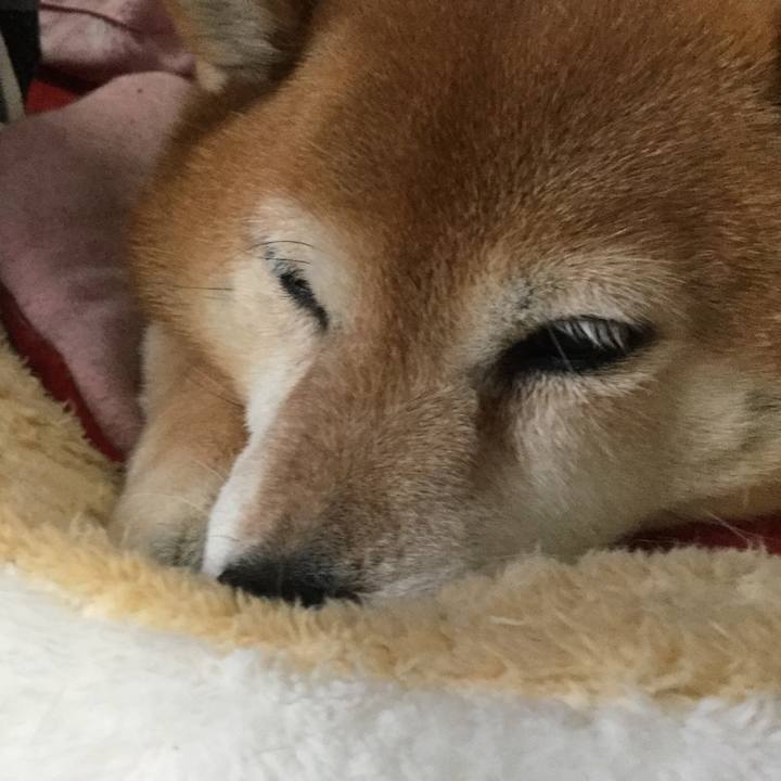 Ea69b5e0 16d0 4c3b 8033 ec6696dd46d5 1622762008781