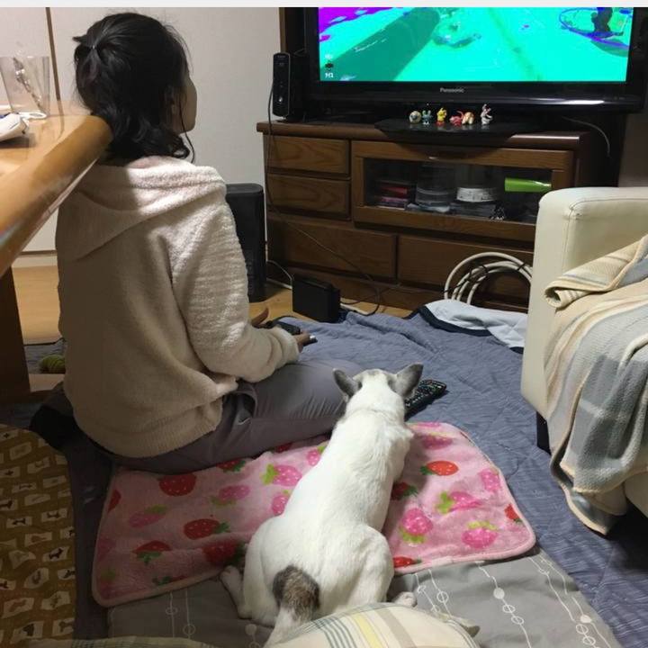 Ea69ba6b 528f 4d0c a94e e6273e51c52e 1767397026816