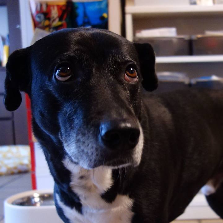 Ea69d81a a006 442e 9662 1dd2e0f2a72f 1740702157609