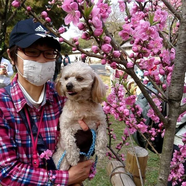 Ea69dd79 1f42 44a0 b6bf ba27b82bc39f 1521990662462