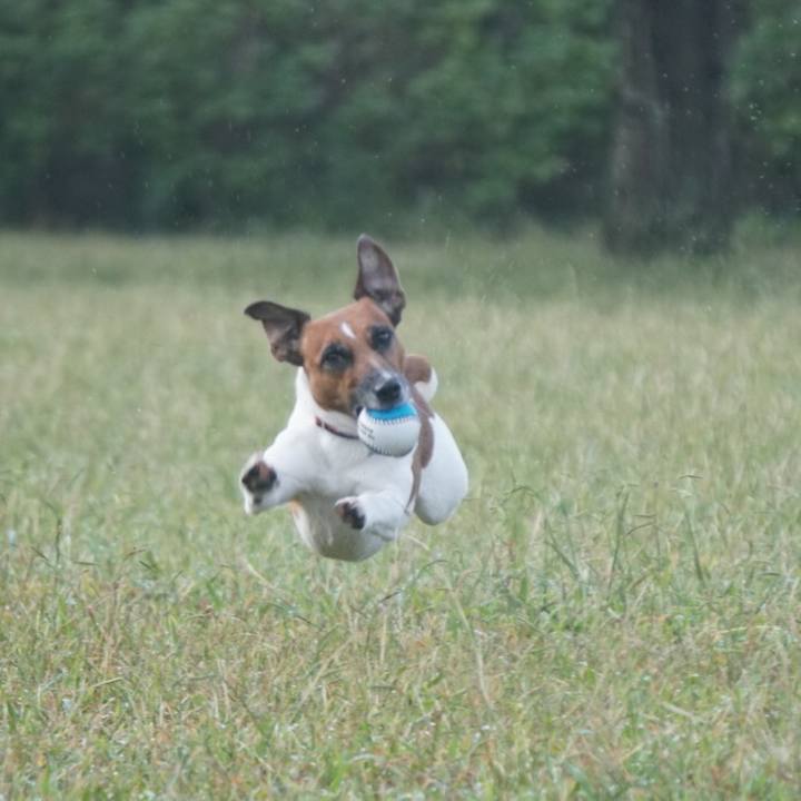 Ea69e260 b82b 4428 a3aa 80537a9ab989 1539644129190