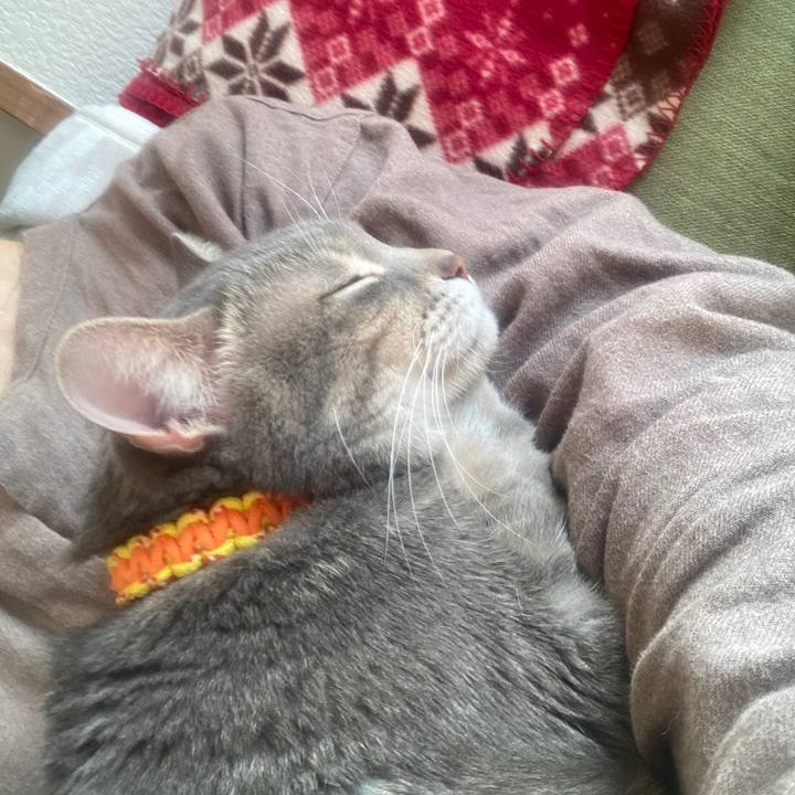 Ea69fb3a 45f7 4474 ba49 8890b08b31ff 1676589413628