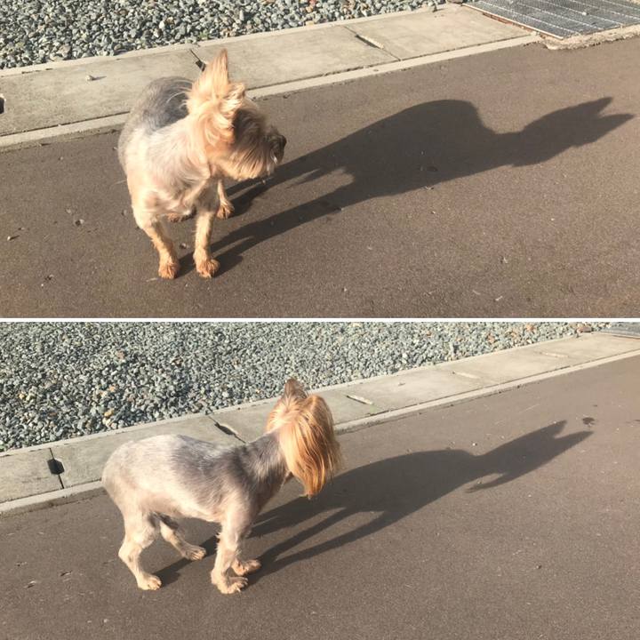 Ea6a0bb0 eb91 4186 9f52 46a359235049 1598001909681