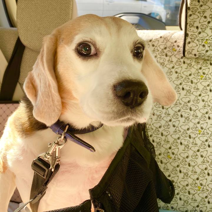 Ea6a344e 8953 4c2d 98f5 417c51ee372b 1579579527284