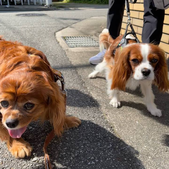 Ea6a5287 68b7 453e 8dbd 6086b18ff2bd 1683074919972