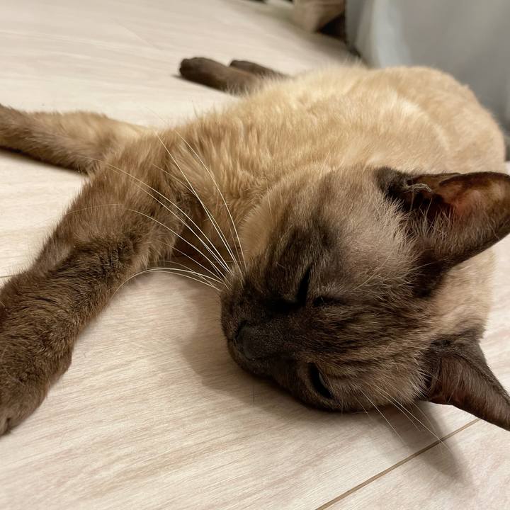 Ea6a55fb fa5f 4f2c ba43 e12af0d498aa 1770209837906