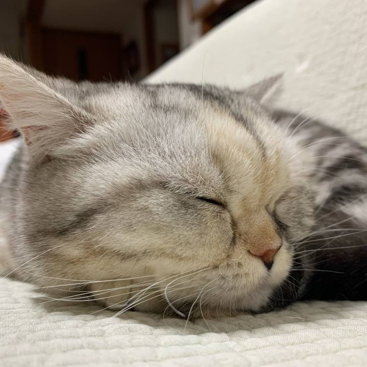 Ea6a5c87 d69c 4c6b 8057 6ba368a73baf 1706276607031