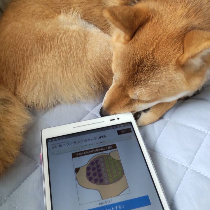 Ea6a8211 f6ca 49fe b012 95fba5194a7a 1626497115491