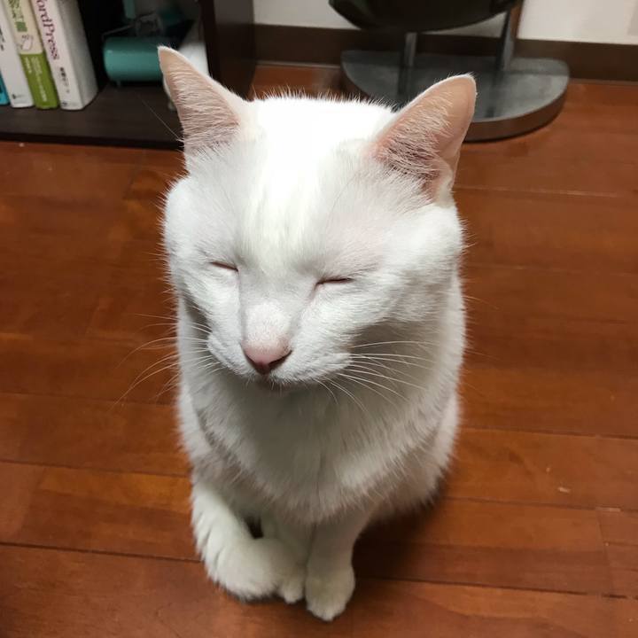 Ea6ad633 da6e 494a b80d c63c7dad1af7 1545899480163