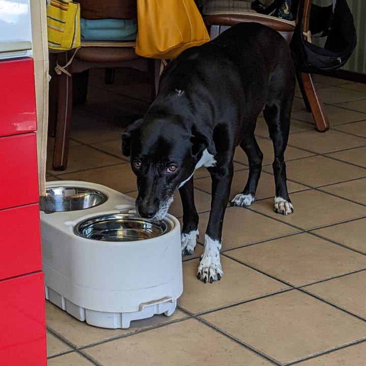 Ea6aeb85 0c86 48ef b422 86779f24b5aa 1694997109963