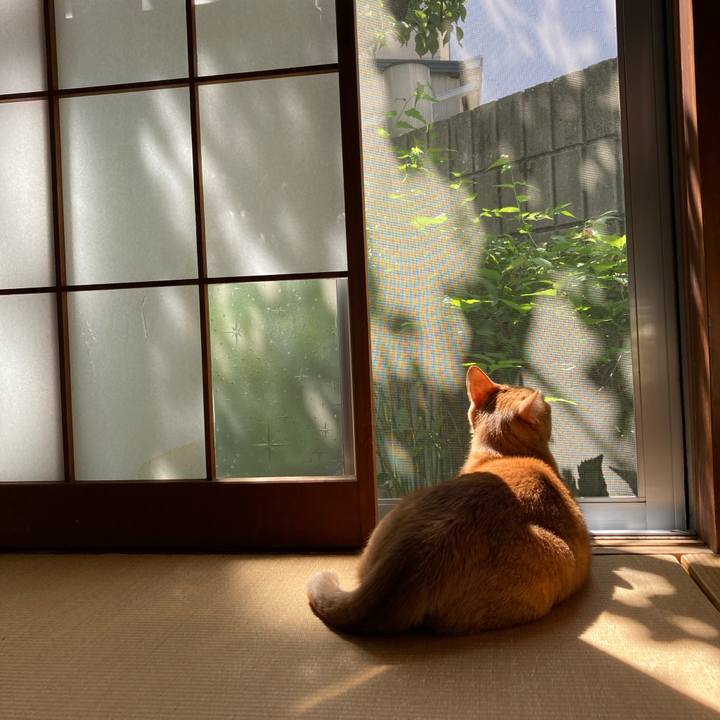 Ea6b1f37 f166 4050 abc2 cfbbd68541d1 1632109841759