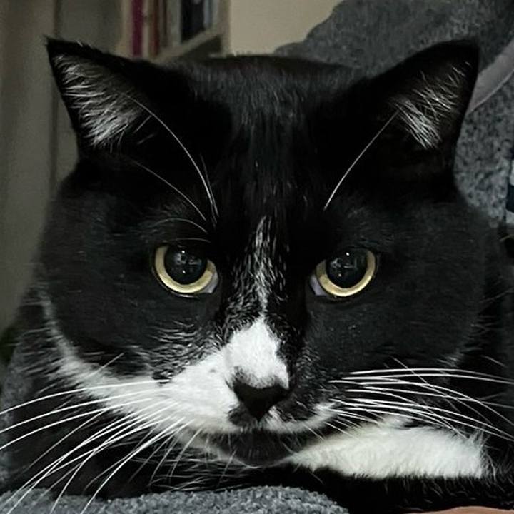 Ea6b3e4e 4422 413f b26d da1c0abd3956 1739246379690