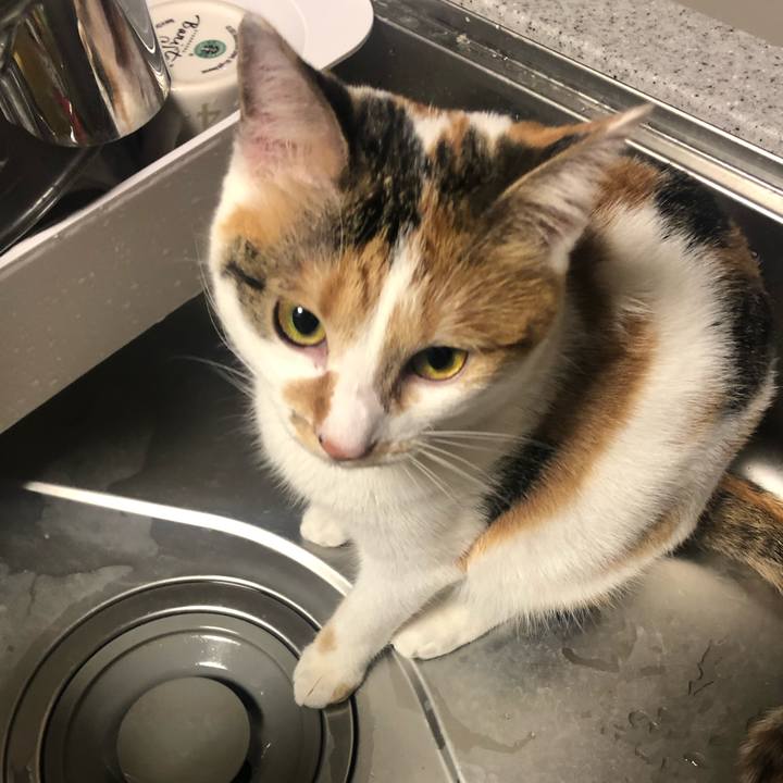 Ea6ba43e 6e4c 462b 9112 bbf2901c2b0c 1580135825647