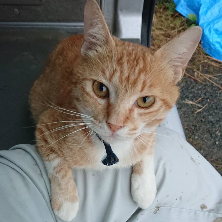 Ea6bf0c0 7629 4458 83fb db1835a1ce14 1560937174265