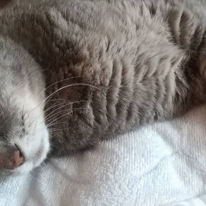 Ea6c031a 1602 4fc5 a4e8 3948a30d6be9 1694994220297