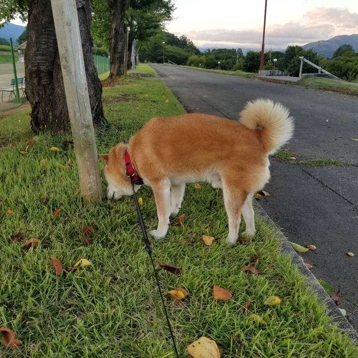 Ea6c3703 24d6 4ec3 af4f 9e713f000e04 1723195139725