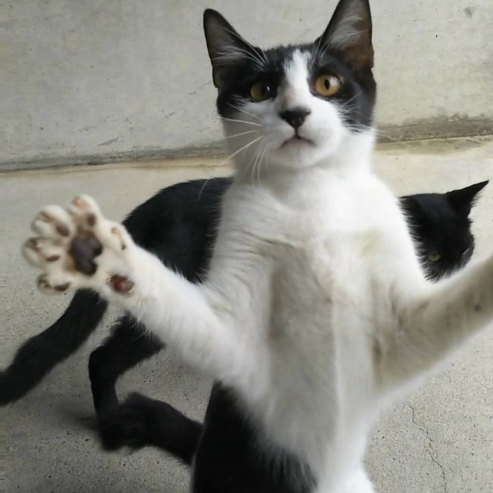 Ea6c3e74 92b6 4d6d 9f97 1fba6dd02b8a 1536394490424