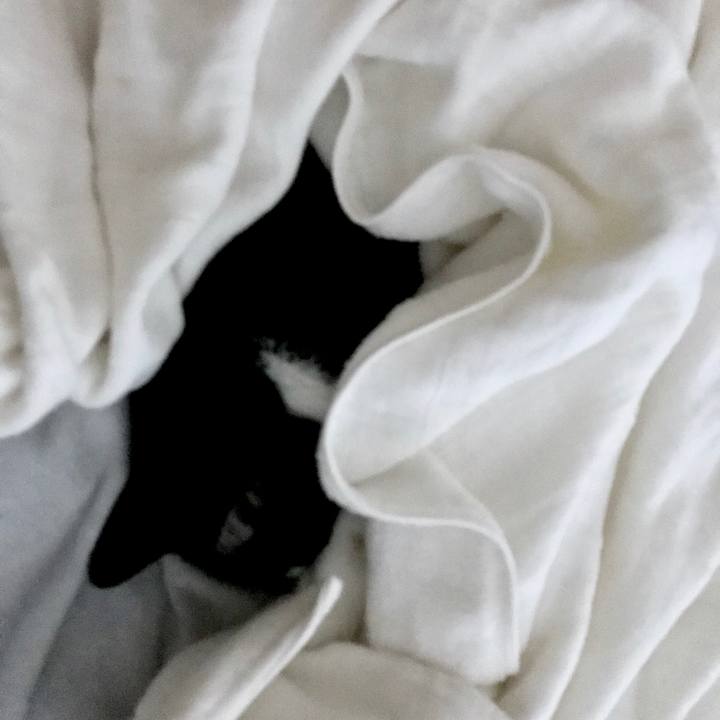 Ea6c5f50 c836 4eae 8f39 4a19bab3822c 1568693246016