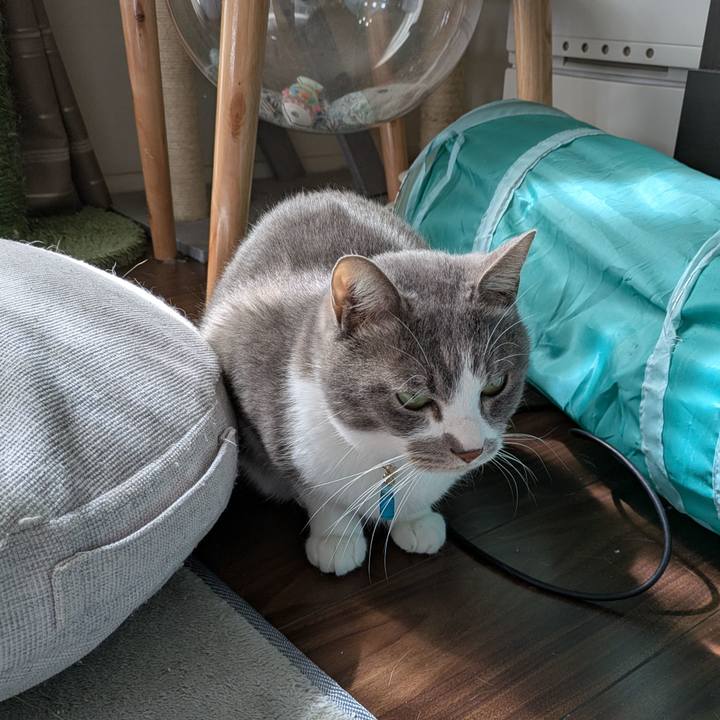 Ea6c67df d5b8 40a7 b6c0 885e5b5c411f 1741746081752