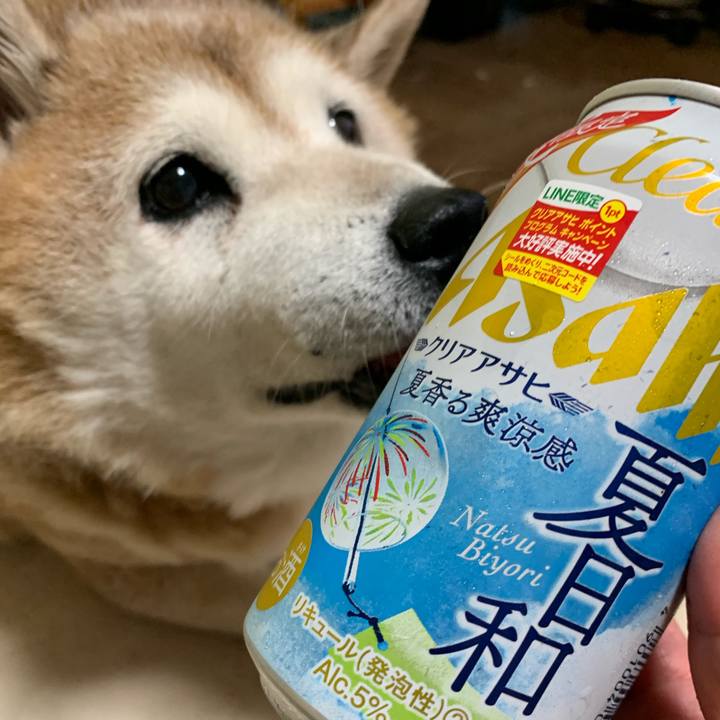 Ea6c70e6 6076 430a bb1a 793867264cf2 1622807514875