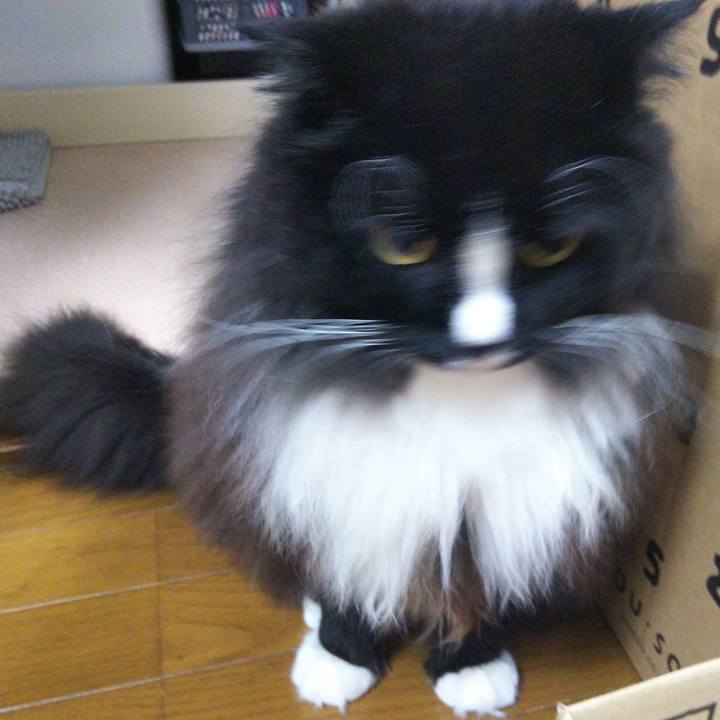 Ea6c9903 ec95 4f2e 89da d16d206428f6 1660743151248