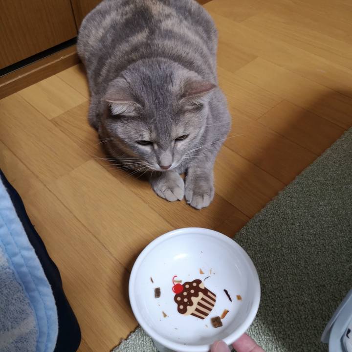 Ea6ca938 f6df 4caa b1f0 7012cdcd611f 1595080720005