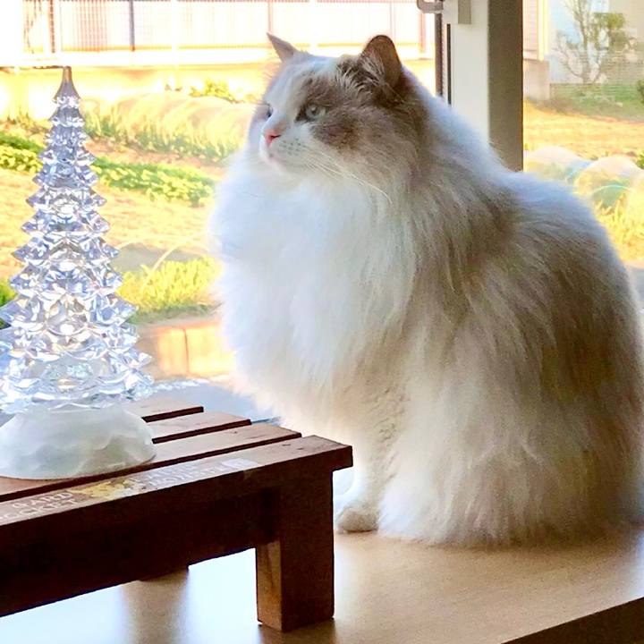 Ea6ce2e9 fcef 4707 8d2c 1e75e751b92f 1608797582725