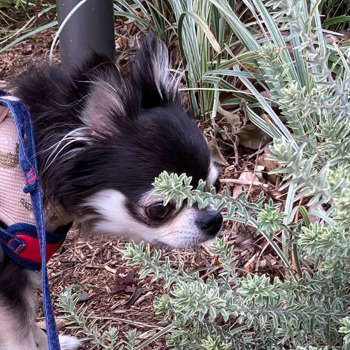 Ea6d2f5f a9c1 4be2 b86f d17fbd24c39c 1712486140555