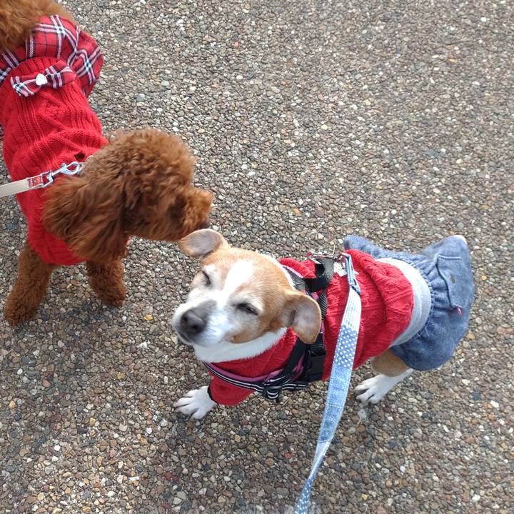 Ea6d3ffd 4407 44c9 8d64 251303e2479c 1773450091833