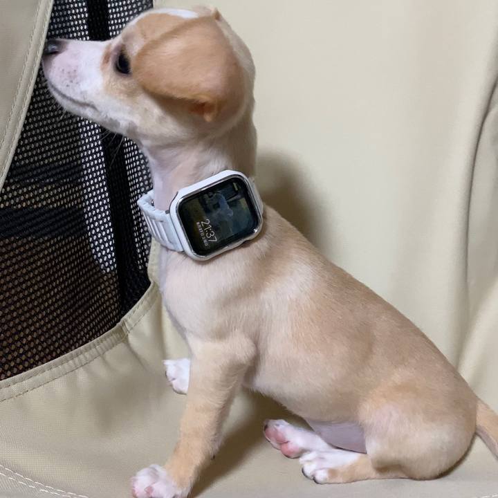 Ea6d410b faac 4b4b ba39 8926a17c05c8 1661605905848