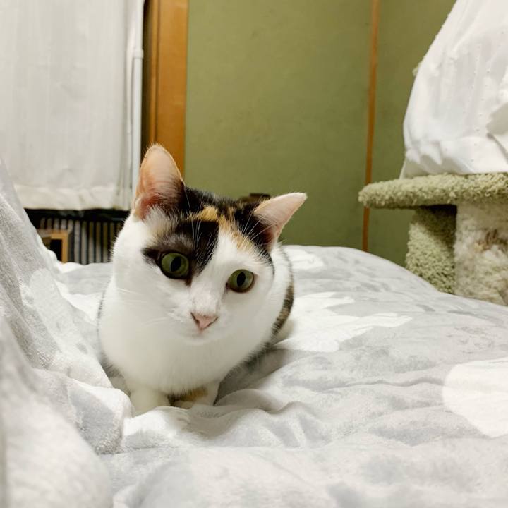 Ea6d414d fded 4ff2 a69b ca62fecf77d9 1540522274911