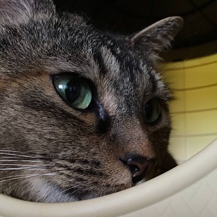 Ea6d7a7f d1ef 4aa2 8e49 ee198a0d1ab9 1753616685017