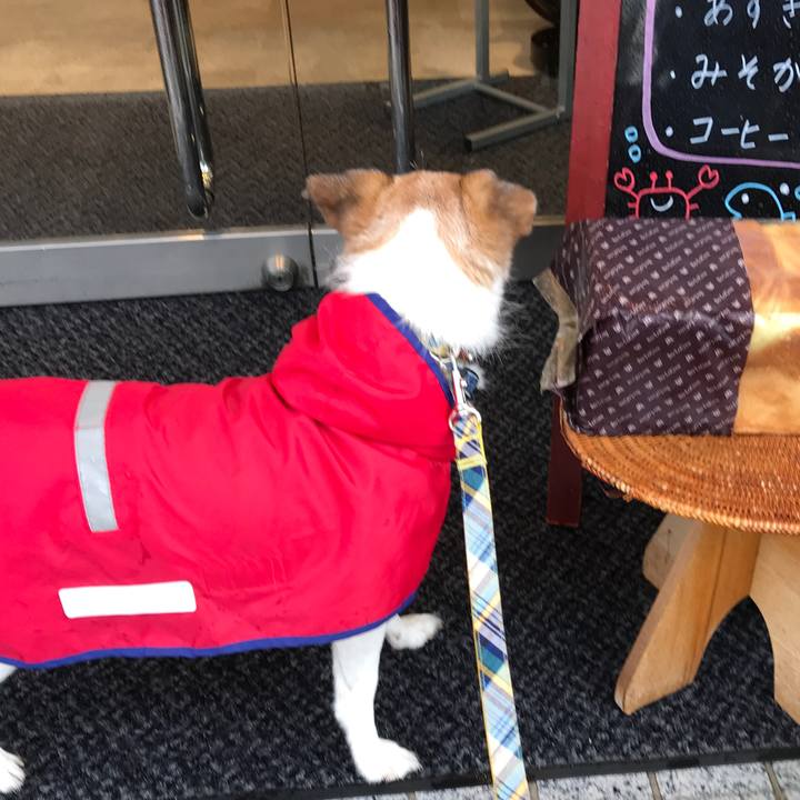 Ea6d7f54 be1d 40ce 8b12 5e7145b88033 1629694806244