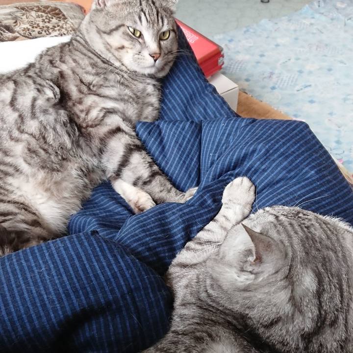 Ea6d84be 99bf 42e3 b549 c9c3c002a416 1521104776045