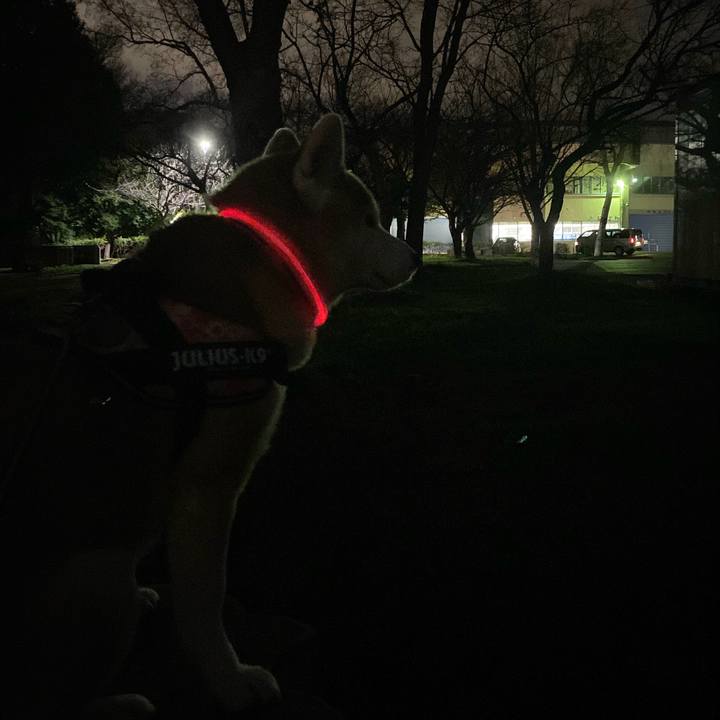 Ea6e37ef cccb 4e65 a3cb 36e3952fe3e2 1638354259945