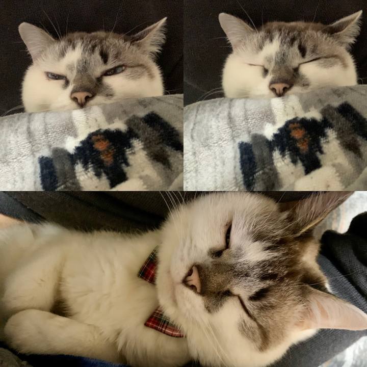 Ea6e381d 4f2b 4aa8 a02f ee2a142aaa45 1582623194734