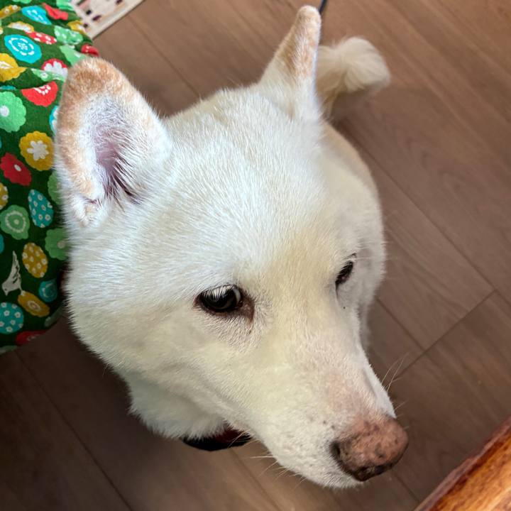 Ea6e4cb8 21c6 4083 9111 8cc380082a95 1769915182646