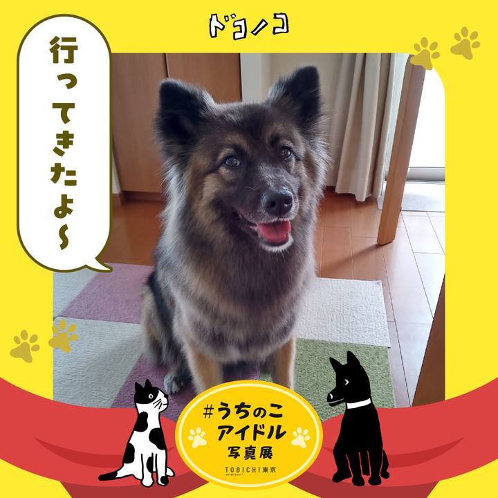 Ea6eb52a 681a 43d4 ab7e f7ef347e1740 1761980469663