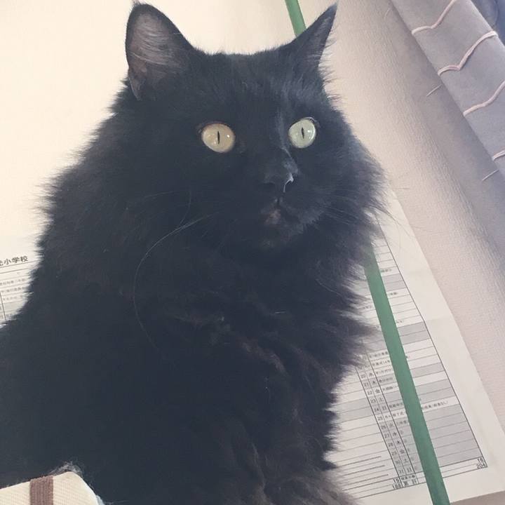 Ea6eba69 fd71 4a84 ad5f 7fa41cf8b947 1543795608966